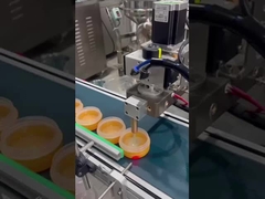 স্বয়ংক্রিয় মেকআপ বেস ফিলিং মেশিন SUS304 গিয়ার পাম্প গরমযোগ্য